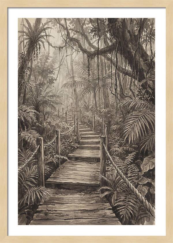 Jungle Trail Serenity