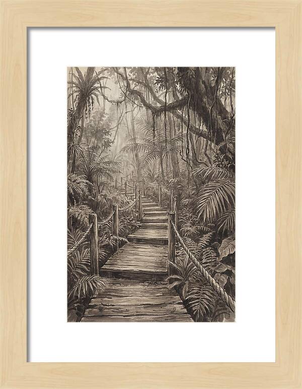 Jungle Trail Serenity