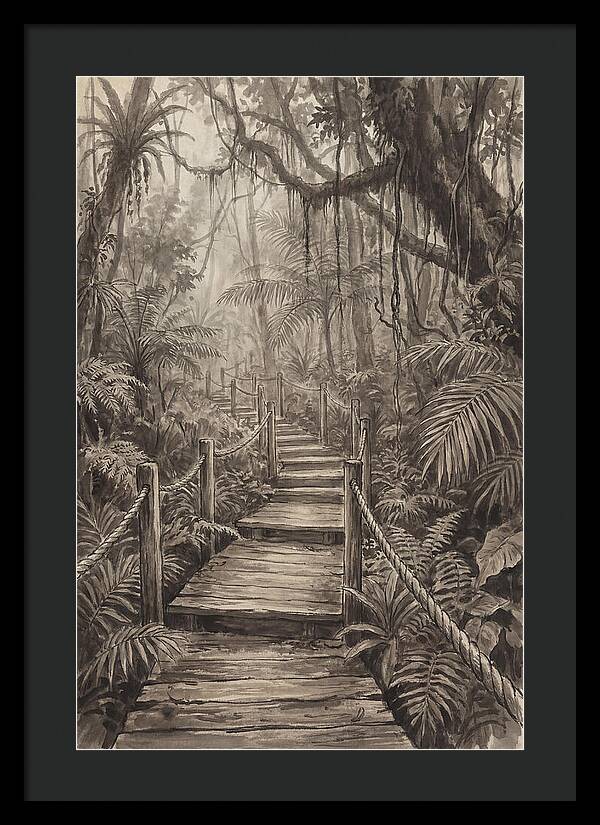 Jungle Trail Serenity