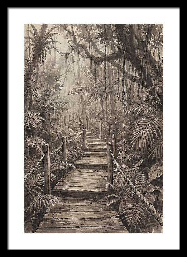 Jungle Trail Serenity