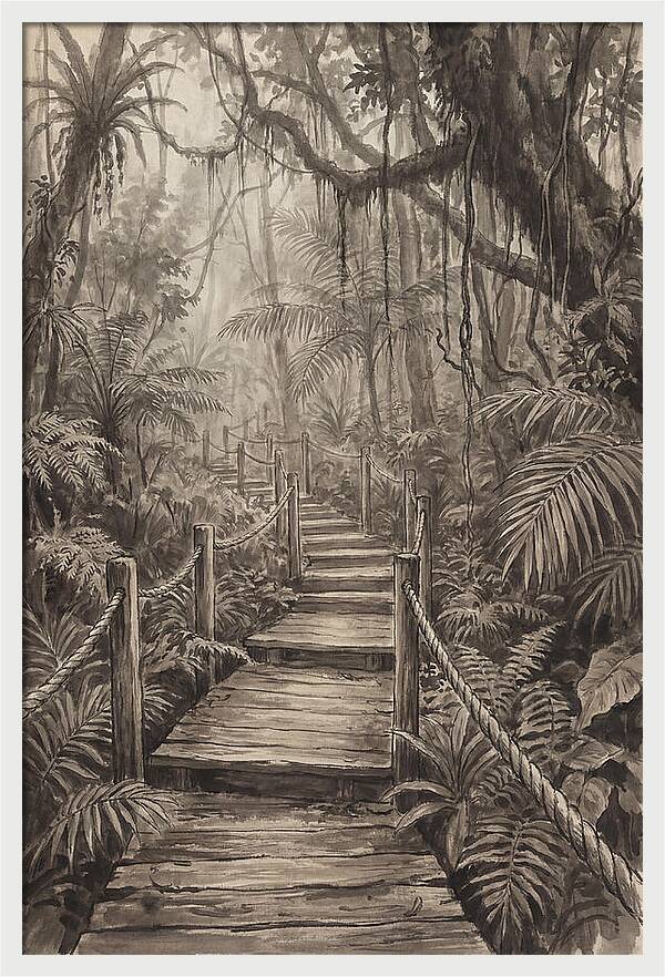 Jungle Trail Serenity