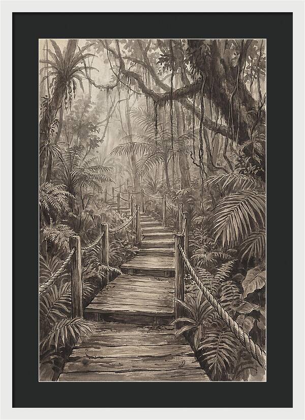 Jungle Trail Serenity