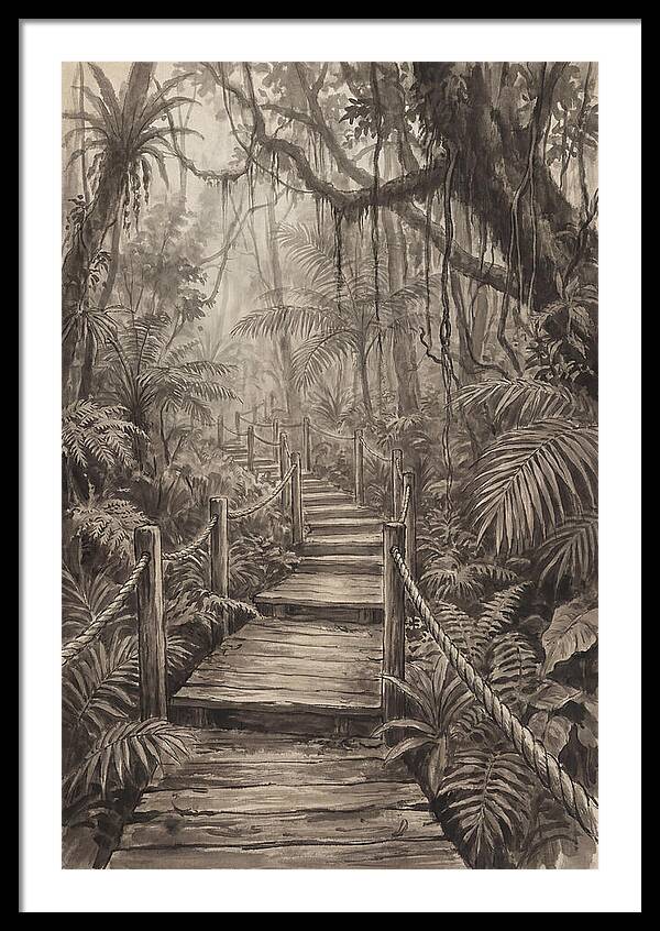 Jungle Trail Serenity