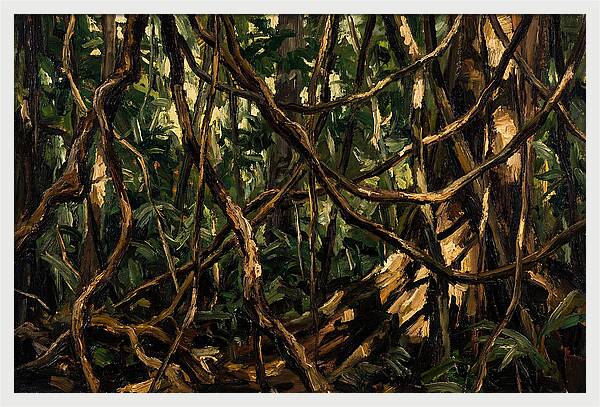 Jungle Vines Entwined