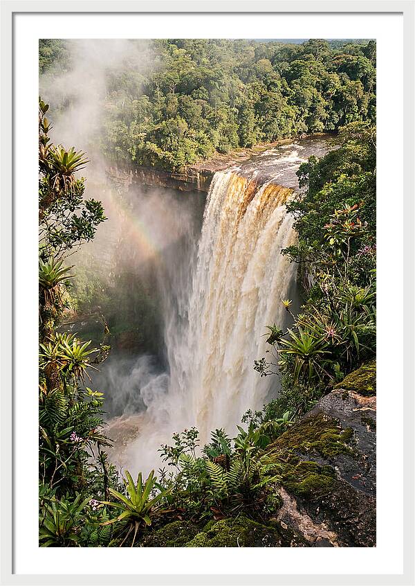 Kaieteur Falls From Rim
