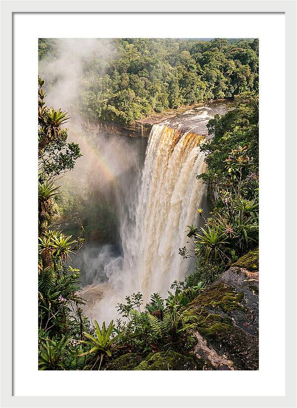 Kaieteur Falls From Rim