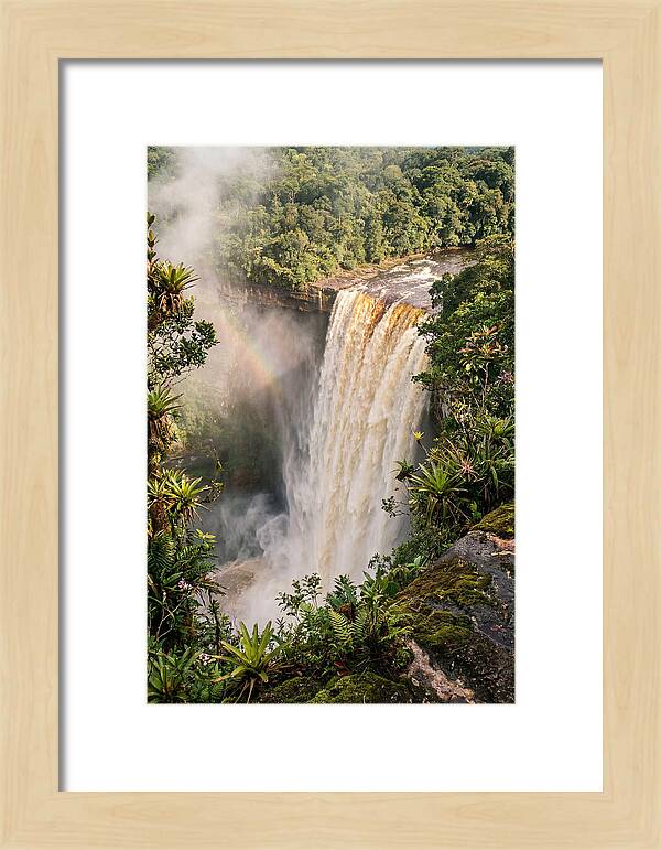 Kaieteur Falls From Rim