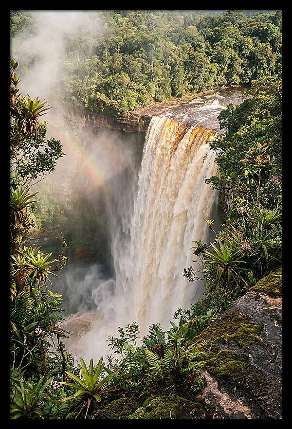 Kaieteur Falls From Rim