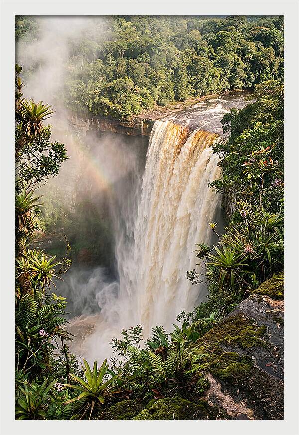Kaieteur Falls From Rim
