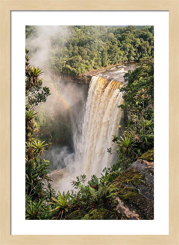 Kaieteur Falls From Rim