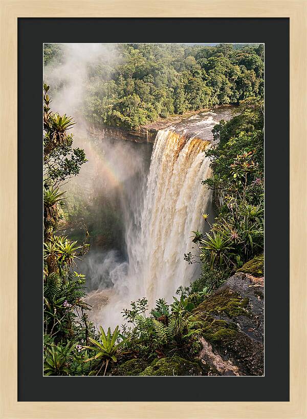 Kaieteur Falls From Rim