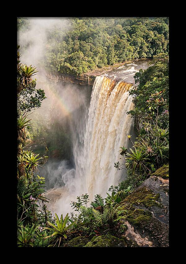 Kaieteur Falls From Rim