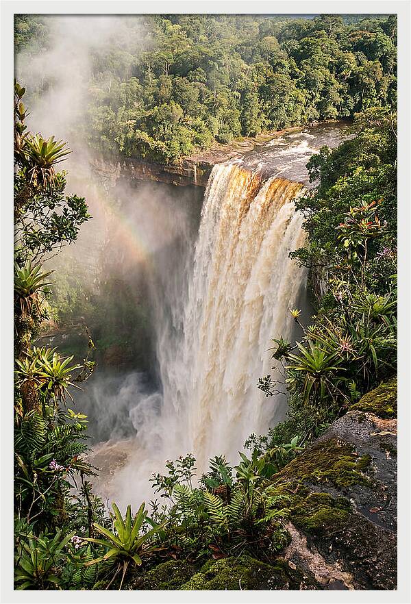 Kaieteur Falls From Rim