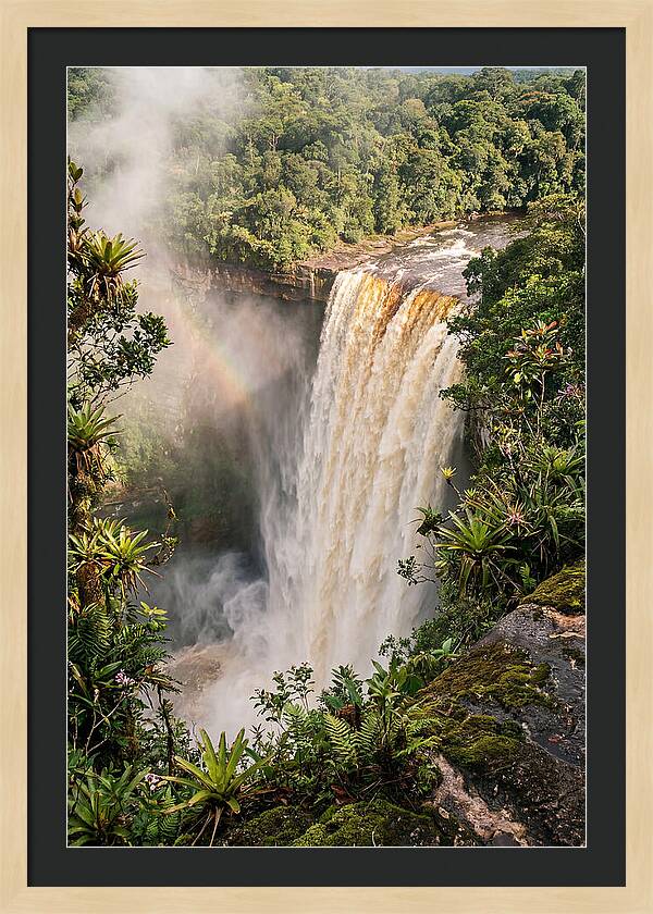 Kaieteur Falls From Rim