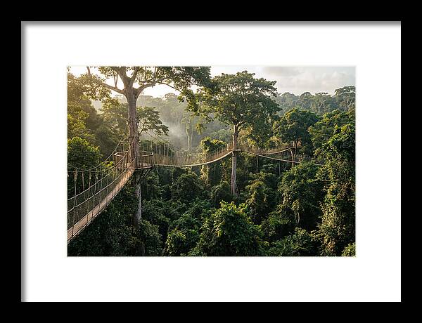 Kakum National Park Canopy Walkway