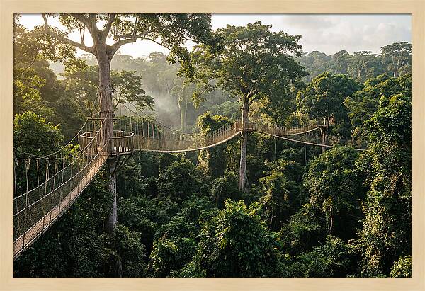 Kakum National Park Canopy Walkway