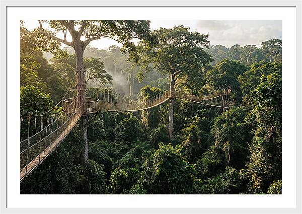 Kakum National Park Canopy Walkway