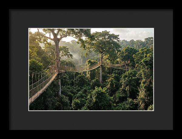Kakum National Park Canopy Walkway