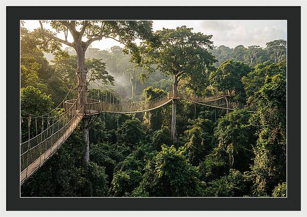 Kakum National Park Canopy Walkway