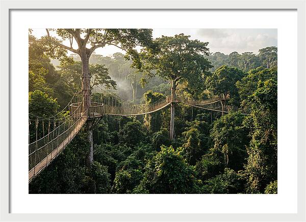 Kakum National Park Canopy Walkway