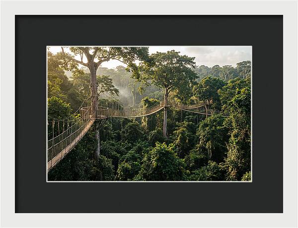 Kakum National Park Canopy Walkway