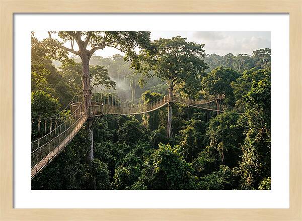 Kakum National Park Canopy Walkway