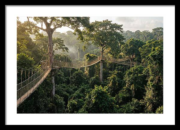Kakum National Park Canopy Walkway