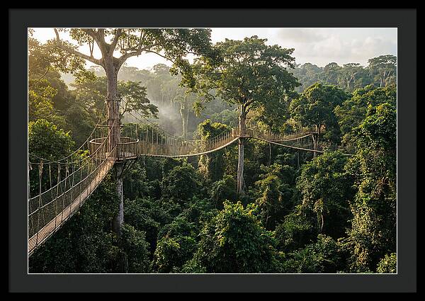 Kakum National Park Canopy Walkway
