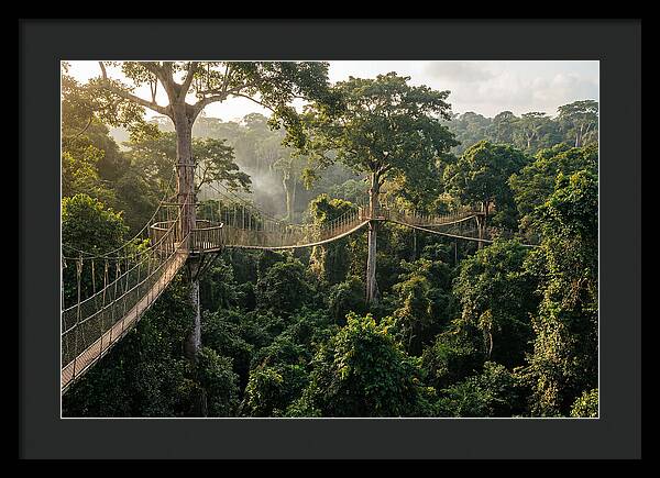 Kakum National Park Canopy Walkway