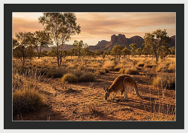 Kangaroo And Joey In Golden Light
