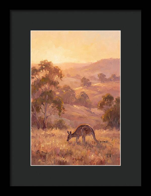 Kangaroo At Dusk