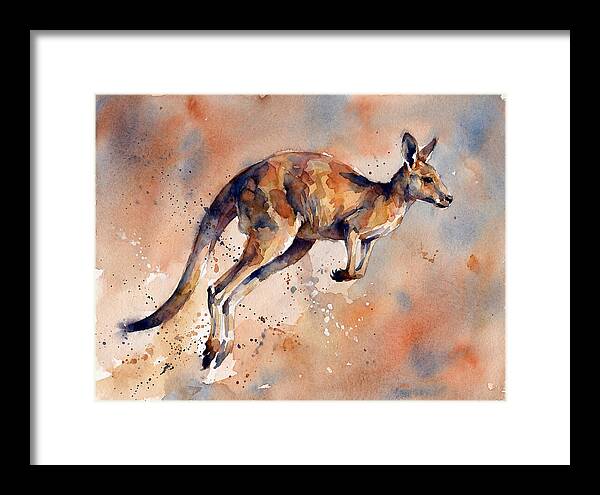 Kangaroo In Motion
