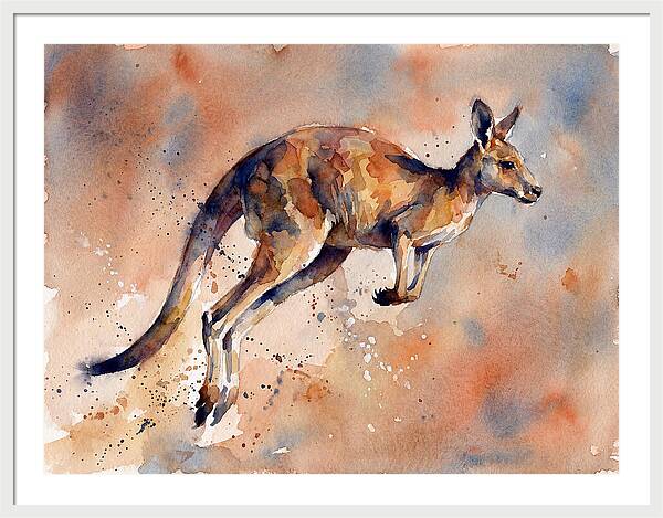 Kangaroo In Motion