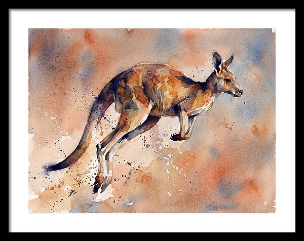Kangaroo In Motion