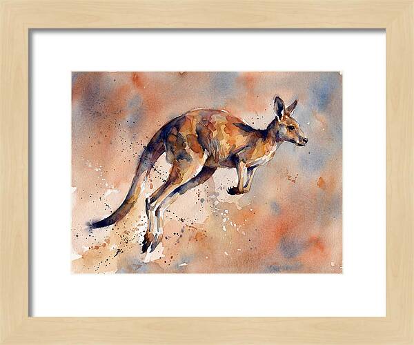 Kangaroo In Motion