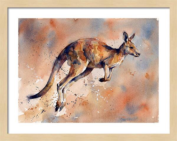 Kangaroo In Motion