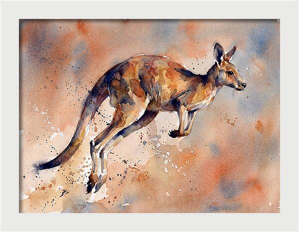 Kangaroo In Motion