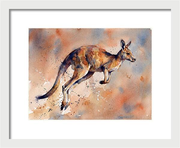 Kangaroo In Motion