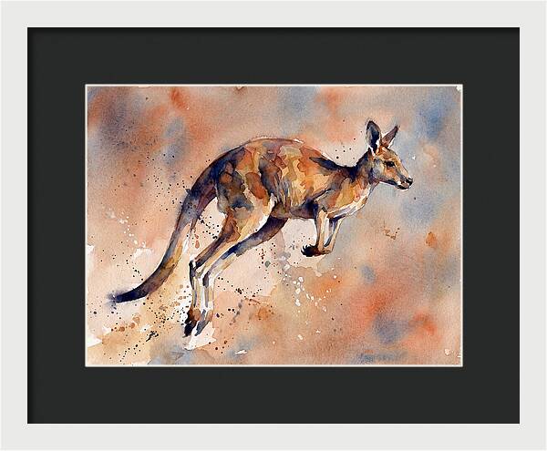 Kangaroo In Motion