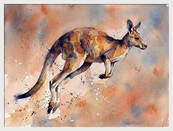 Kangaroo In Motion