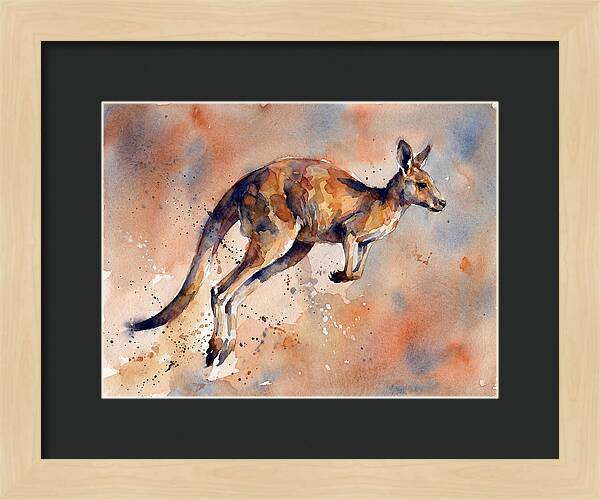 Kangaroo In Motion