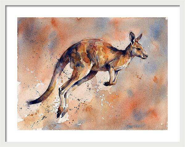 Kangaroo In Motion