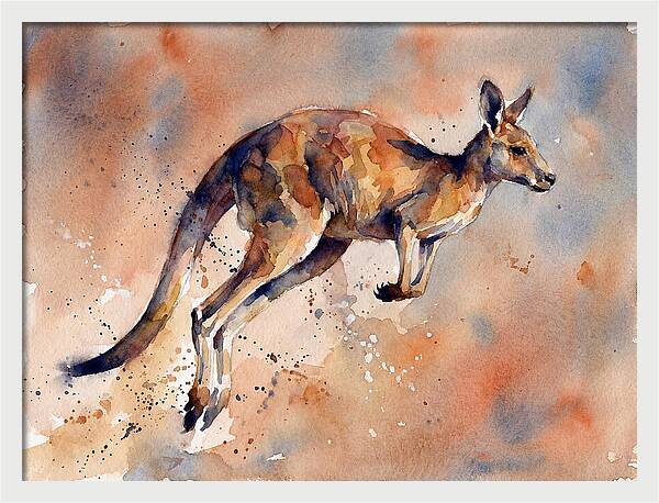 Kangaroo In Motion