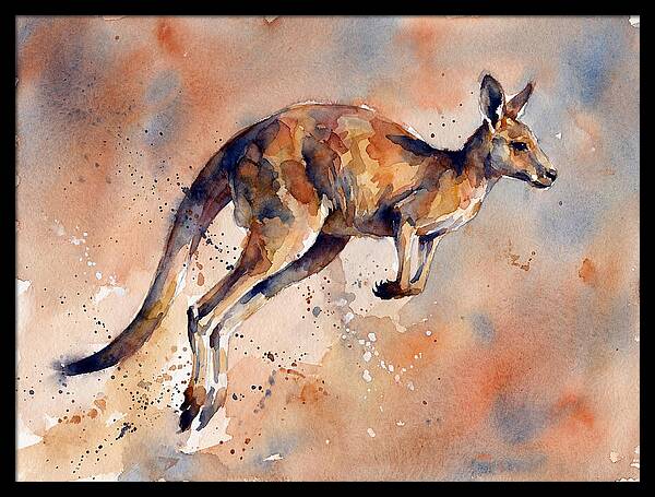 Kangaroo In Motion