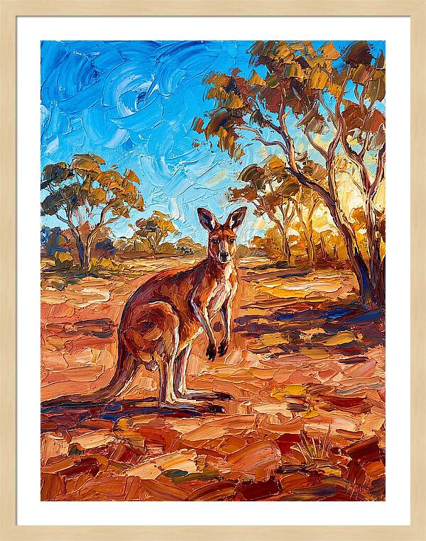 Kangaroo In The Outback