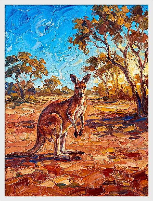 Kangaroo In The Outback