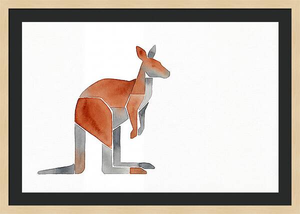 Kangaroo Minimalism