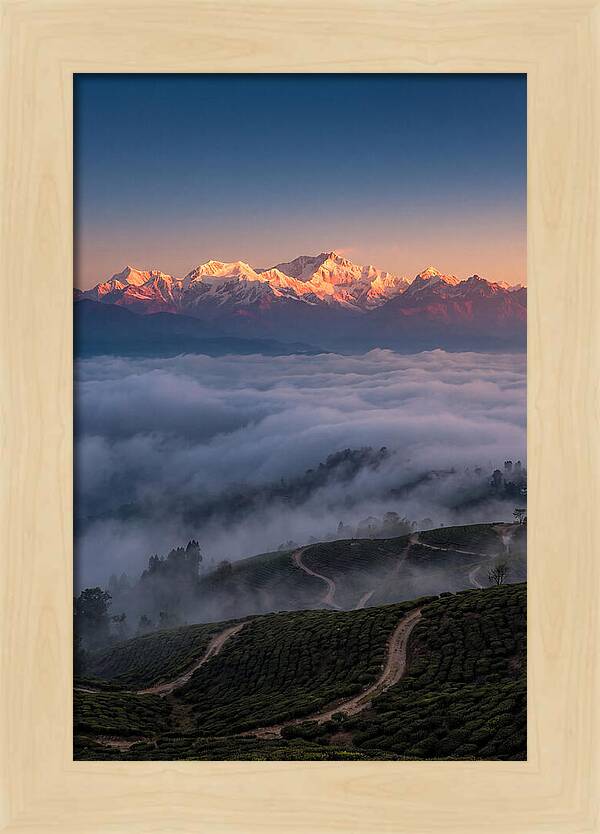 Kangchenjunga At Sunrise