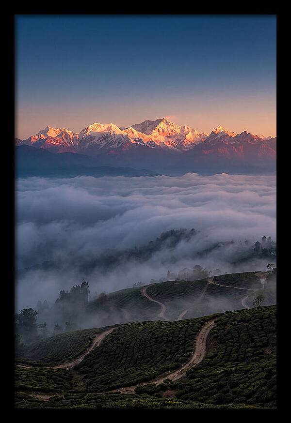 Kangchenjunga At Sunrise