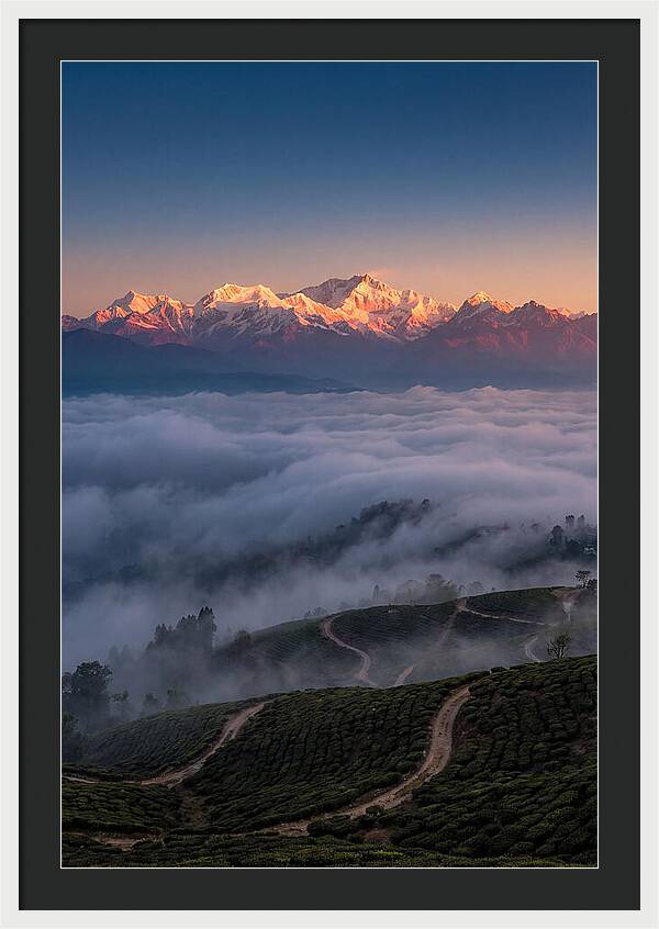 Kangchenjunga At Sunrise